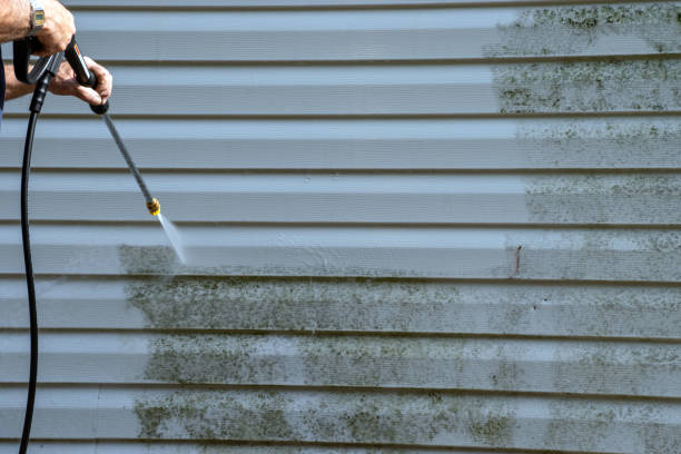 Best Foreclosure Cleanout  in Dublin, PA